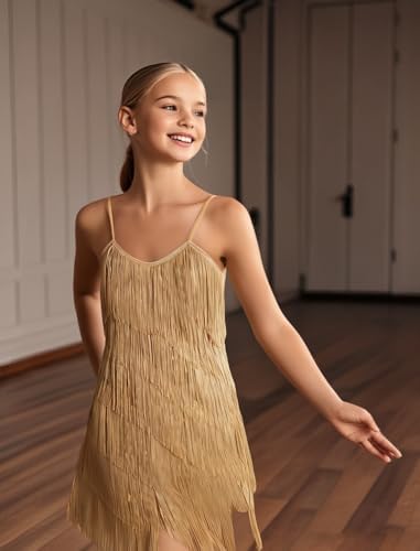 IDOPIP Kids Girls 1920s Flapper Dress Tassels Sequins Fringe Latin Dance Dress Gatsby Halloween Party Ballroom Dance Costumes