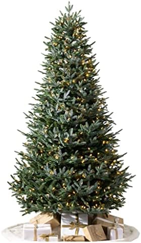 Balsam Hill European Silver Fir - Elegant Artificial Christmas Tree with True Needle Foliage Available Unlit or with LED Clear Lights, LED Clear, 5'
