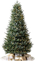Balsam Hill European Silver Fir - Elegant Artificial Christmas Tree with True Needle Foliage Available Unlit or with LED Clear Lights, LED Clear, 5'