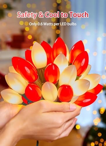 C9 Christmas Lights Outdoor, 100Ft 50 LED Red & Warm White String Lights