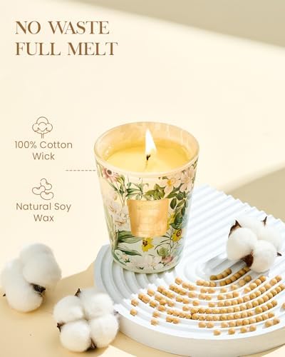M&SENSE Sage Citrus Soy Candle, 14.1oz, Refresh Home Fragrance