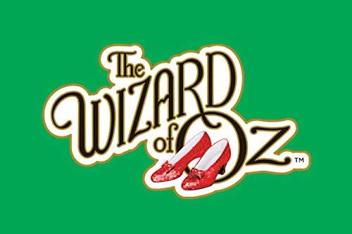 Rubies at Party City The Wizard of Oz: Tin Man Costume for Adults, Men's Costume