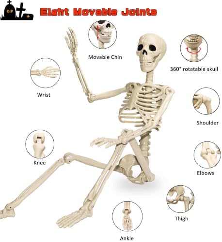 Znorso 4 Pack 24” Halloween Skeleton Decorations, 2FT Posable Full Body Hanging Skeleton with Movable Joints for Halloween Skeletons Decor Yard Patio Lawn Garden Skeleton Props (4, 24 in)