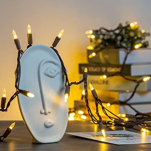 YULETIME 200 Warm White LED Christmas Lights, 66 ft Brown Wire String Light