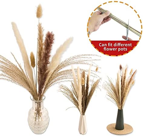 65PCS Pampas Grass Decor, Including pompas Floral, Reed Dried Grass and Bunny Tails Dried Flowers, Natural Dried Pampas Grass Bouquet for Boho Decor Wedding, Home Decoration (Pack of 2)