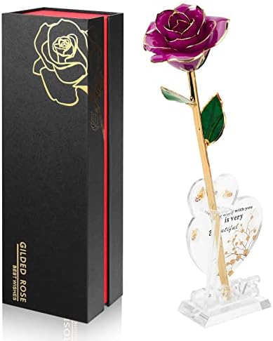 Anthonic Gold Dipped Infinity Rose Last Forever Flower Decor, Birthday Gift for Women in Her Birthday Valentines Day Mothers Day, Resin Preserved Rose | Anniversary Present for Mom (Purple)