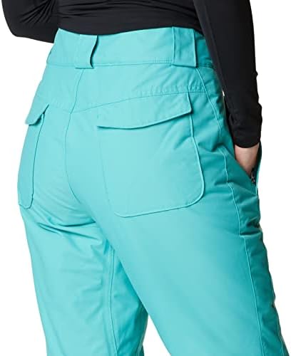 Columbia Bugaboo™ Omni-Heat Pants