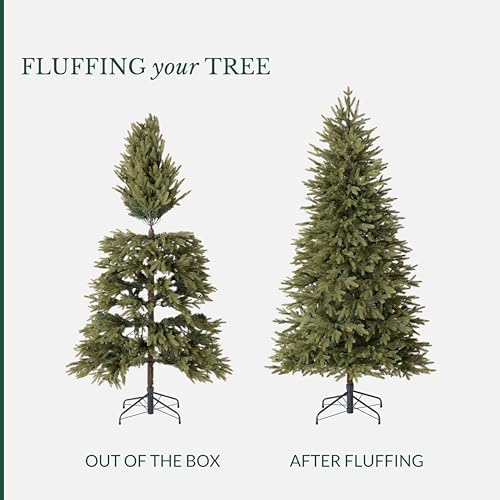 Balsam Hill Silverado Slim - Realistic Narrow Christmas Tree with True Needle Foliage with Premium Stand & Easy Assembly for Indoor Holiday Decorating, Unlit, 9'