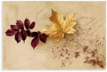 JDBeehpy Maple Leaves Berries Vintage Script Wall Prints Unframed 20x30inch