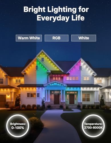 Christmas Smart RGB Permanent Lights for House (54Ft 36LED)