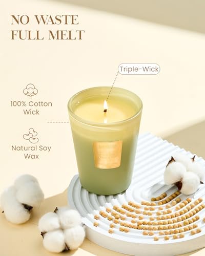 M&SENSE Eucalyptus Cedarwood Soy Candle, 14.1oz 60H Long Lasting, Aromatherapy Candle for Bathroom Freshness Home Decor Housewarming Gifts