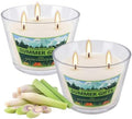 2 Pack 3-Wick Glass Cup Citronella Candles(14oz), Natural Soy Wax Clean Burning & Smokeless,citronella Scented Candle & Outdoor Candle,Camping Bar Counter Yard, Summer Gift.