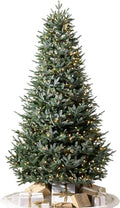 Balsam Hill European Silver Fir - Elegant Artificial Christmas Tree with True Needle Foliage Available Unlit or with LED Clear Lights, LED Clear, 8'
