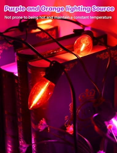 SUNSGNE 25FT C9 LED Halloween Lights Outdoor, 25 Orange and Purple Lights