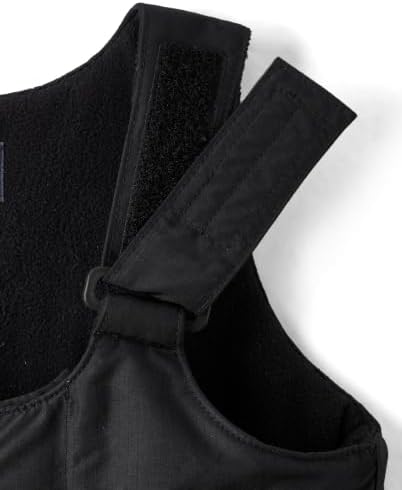 The Children's Place Baby Boys' And Toddler Snow Bib Overall Ski Pants