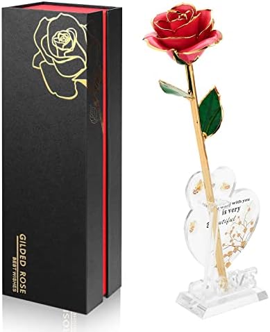 Anthonic Gold Dipped Infinity Rose Last Forever Flower Decor, Birthday Gift for Women in Her Birthday Valentines Day Mothers Day, Resin Preserved Rose | Anniversary Present for Mom (Pink)