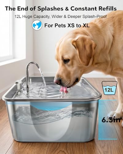 CEESC 12L/3.2Gal Dog Water Fountain with Easy-Carry Handle, Stainless Steel
