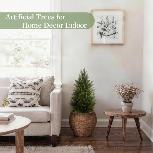 Vitalismo 3FT Artificial Cedar Trees Set of 2 for Outdoor Front Porch