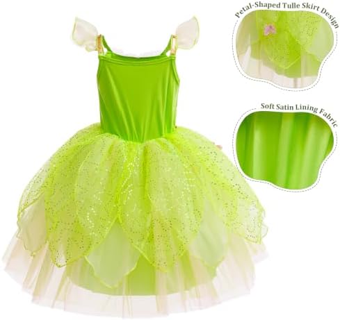 Fairy Costume for Girl Dress Up Halloween Cosplay with Wig