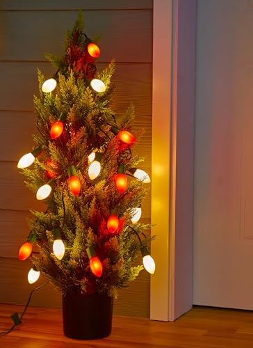 C9 Christmas Lights Outdoor, 100Ft 50 LED Red & Warm White String Lights