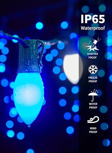 C9 Christmas Lights Outdoor, 100Ft 50 LED Blue & Pure White String Lights