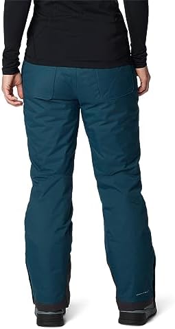 Columbia Bugaboo™ Omni-Heat Pants
