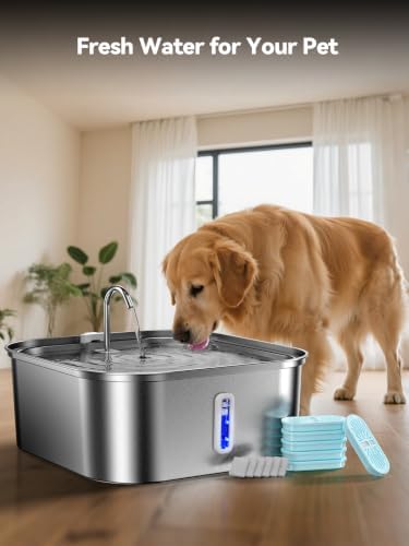Large Dog Water Fountain 14L/3.7Gal, Stainless Steel Pet Fountain for Large Dogs and Multi-Pets, with Window & Extra Wide Drinking Area, Square Design Enlarges Capacity & Saves Space (6 Newly Filters)