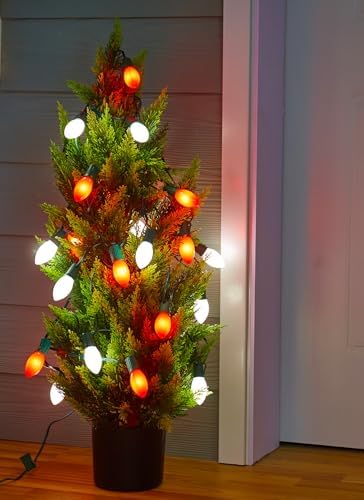 C9 Christmas Lights Outdoor, 100Ft 50 LED Red & Pure White String Lights
