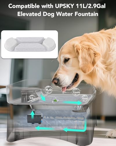 UPSKY 5 Pcs Replacement Filters for 11L Elevated Dog Water Fountain