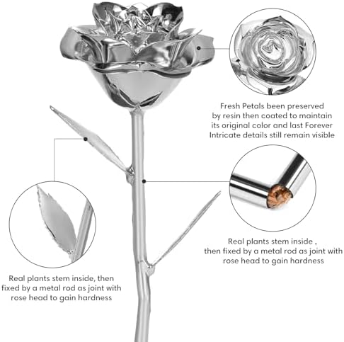 Anthonic Gold Dipped Infinity Rose Last Forever Flower Decor, Birthday Gift for Women in Her Birthday Valentines Day Mothers Day, Resin Preserved Rose | Anniversary Present for Mom (Silver)