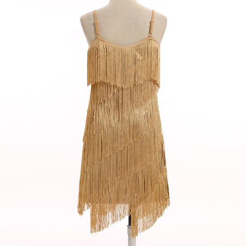 IDOPIP Kids Girls 1920s Flapper Dress Tassels Sequins Fringe Latin Dance Dress Gatsby Halloween Party Ballroom Dance Costumes