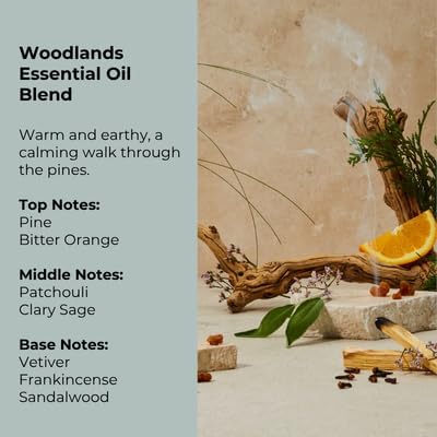 Dish Soap Bulk Refill Concentrate, Woodlands Scent, Plant Based Dish Soap, Makes 5 Bottles, Grease Fighting Dishwashing Liquid with Essential Oils