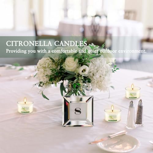 40-Pack Citronella Scented Tealight Candles -Outdoor Candles Natural Soy Wax Candle Bulk, Smokeless & Long-Lasting for Yard, Picnic, Camping Outdoor Comfort.