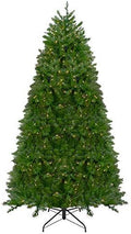 Northlight Pre-Lit Northern Full Artificial Christmas Tree with Clear Lights, 14'