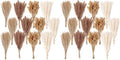 300 PCS Dried Flower Bouquet – Pampas Grass, Floral Decor for Home, Wedding, and Boho Style | Perfect for Vases, Fall, Spring, Summer, and Winter Arrangements (Pack of 2)