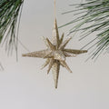 CG Hunter Antique Gold Glass Christmas Ornaments, 2.75", Set of 6