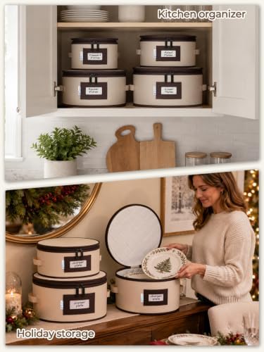 punemi China Storage Containers, 4-Pack Hard Shell Plate & Dish Cases