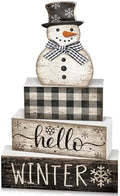 Moucuny 4 Pcs Winter Snowman Tiered Tray Decor Wooden Block Signs