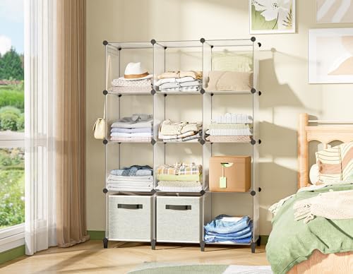 Closet Organizers and Storage, 12 Cube Storage Organizer, Transparent