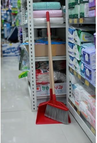 TRUSCO Broom Dustpan TDPS10-SET-R