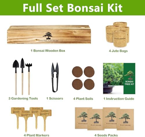 Bonsai Tree Kit, Bonsai Starter Kit with Seeds & Tools, Tree Live Plants Indoor, Gardening Gifts for Women Men Mom Father Plant Lover, Birthday Gifts for Women, Father Day Gifts