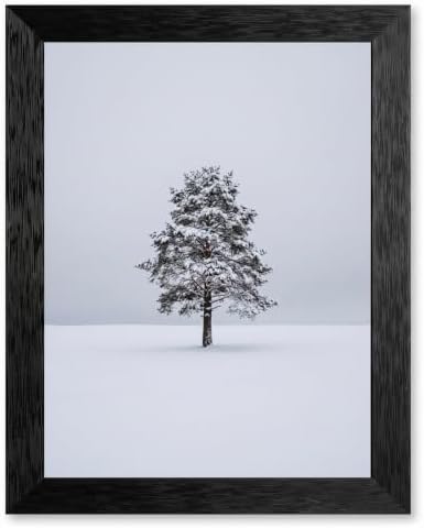 Framed Winter Evergreen Tree Canvas Wall Art, White, Black Frame Inch 8x10
