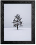 Framed Winter Evergreen Tree Canvas Wall Art, White, Black Frame Inch 16x20