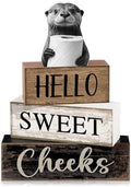 Moucuny 4 Pcs Otter Bathroom Decor Wooden Block Signs Hello Sweet Cheeks