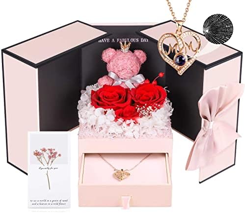 ADDWel Gifts for Mom from Daughter Son, Preserved Real Rose with I Love You Necklace in 100 Languages Gift Set, Unique Birthday Gifts to My Mom