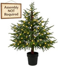 3FT Pre-Lit Artificial Norfolk Pine Christmas Tree, Holiday Décor