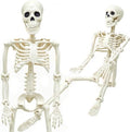 36" Skeleton Halloween Decorations, 3FT Life Size Skeleton Posable Joints