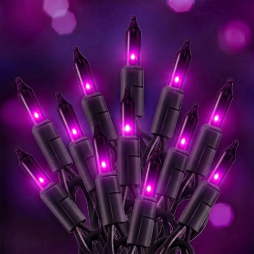 20FT Purple Outdoor Halloween String Lights for Indoor Haunted House Decor