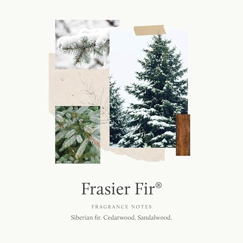 Thymes Frasier Fir Reed Diffuser Set – Includes Reeds, Fragrance Oil, and Frosted Glass Bottle – Fragrance Oil Diffuser – Room Fresheners – Luxury Home Decor – Green (Heritage, 4 fl oz)