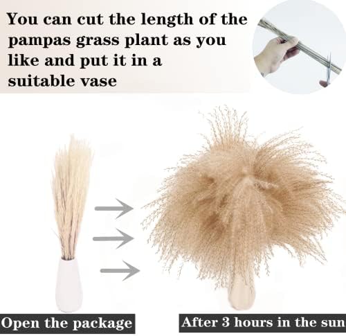 300 PCS Dried Flower Bouquet – Pampas Grass, Floral Decor for Home, Wedding, and Boho Style | Perfect for Vases, Fall, Spring, Summer, and Winter Arrangements (Pack of 2)